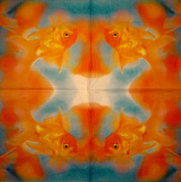 141 Fische - 3-lagig - USA